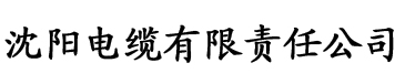 天才萌宝总裁你敢抢我电缆厂logo